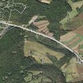 Tree blocking road on Fork Mountain Road