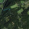 Tree partially blocking road on Bellis Road