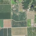 Aggressive dog reported near field workers in Carlock