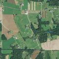 Bee sting call canceled near Holmesville
