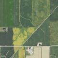 Field fire at East (number withheld) North Road in Cropsey