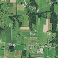 Female unconscious from bee sting allergy at Co Rd 160