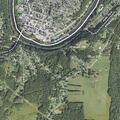 Report of gray sedan driving erratically