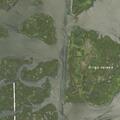 Floating dock hazard near Amityville Cut