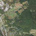 Trees cleared and new tree on wires reported