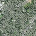 Unconscious male falls near Princeton Road