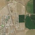 Animal complaint at apartment in Pierce