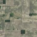 Cows reported in roadway near Rock Lake