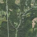 Tree fire with smoke and arcing on Warrendale-Bayne Road