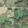 Large underage party reported in wooded area
