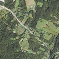 Tree blocking roadway on White Cloud Road