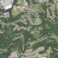 Trash cans reported stolen on Todd Lane
