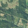 Child found near woods with parents unaccounted