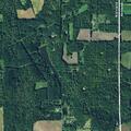 Man struck by tree while cutting near Perrysville