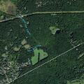 Female having seizure near Diller Way, Hampton