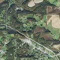 Tree limb blocking lane on State Route 11