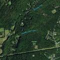 Two abandoned dogs reported at state park campground
