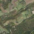 Single car crash into woods on Hill Road