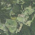 Report of tree down on utility line on Cherry Run Rd