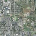 Woman with allergic reaction after wasp stings at Redwood Rd
