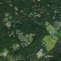 Tree down with wire hazard on Route 513