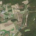 Elderly woman experiences fainting episode in Eldred Township
