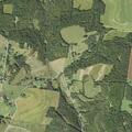 Poisoning reported near Holly Road in Conshohocken, PA