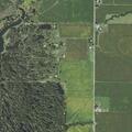 91-year-old female with bloody stool in Farmington