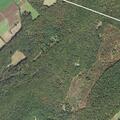 Downed power lines and small tree fire at Dry Hollow