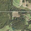 65-year-old female feeling faint near Lion Road
