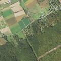 Report of dead deer along roadway