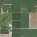 Pickup rollover injures four in bean field