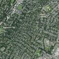 Tree branch damages house service wires
