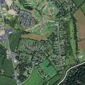 Loose Great Danes reported on New Hampton Road