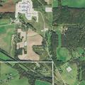Loose horse near roadway in Hanoverton