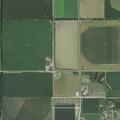 Contact about two cows on property in Elm Creek