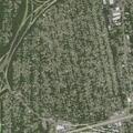 73-year-old woman weak and sick at Pine Acres Blvd