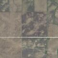 86-year-old male confused at residence in Fowler