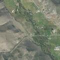 Report of cows on Browns Canyon road