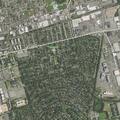 81-year-old woman reported with stomach pain at home