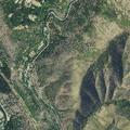 Loose dogs reported near Highway 299 roadway
