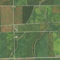 91-year-old female reported in unknown barn in Piper City
