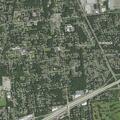 Sick raccoon reported near Kathy Lane in Bohemia