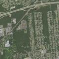Loose dog reported on Narragansett Avenue