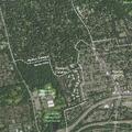 Man in pain at Coolidge Avenue in Roslyn Heights