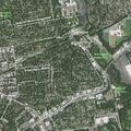 Sick female reported near Arbor Street in Great Neck