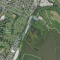 Woman with chest pain near Geraldine Road