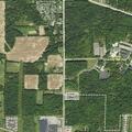80-year-old male falls and hits head in Ontario