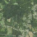 92-year-old man dizzy near Patricia Drive in Big Beaver