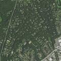 Person with gastrointestinal issues near Saddle Lane in Muttontown